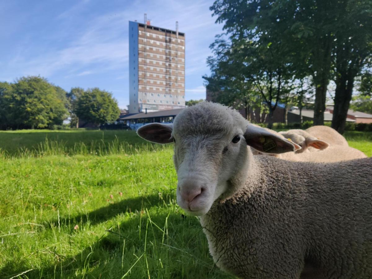 Hojhuset Kulturhotel Herning Eksteriør bilde